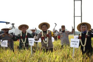 Panen Raya Padi di Kabupaten Pemalang Bersama Kapolda Jawa Tengah
