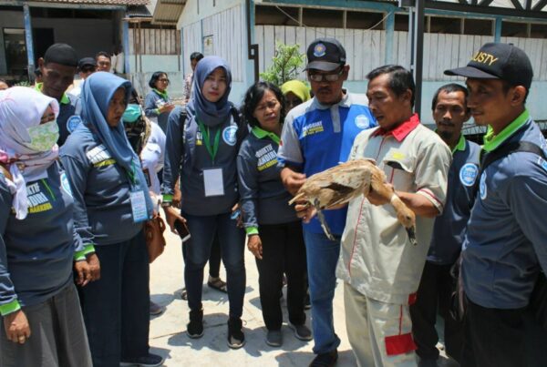 Pelatihan Beternak Itik dan Membuat Telur Asin Dalam Rangka Sinergitas BUMN Hadir Untuk Negeri (BHUN) dengan BNNP Jateng